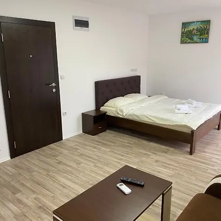 Milica 소코 반자