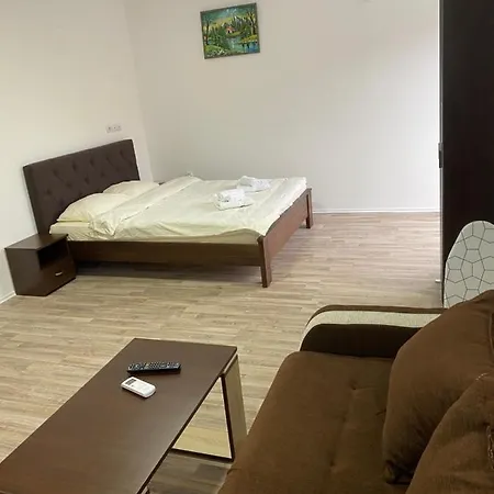 Milica 소코 반자