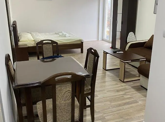 Appartamento Milica Soko Banja